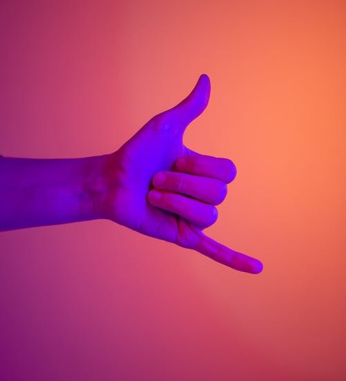 超級主播轉型記-鋒巢網