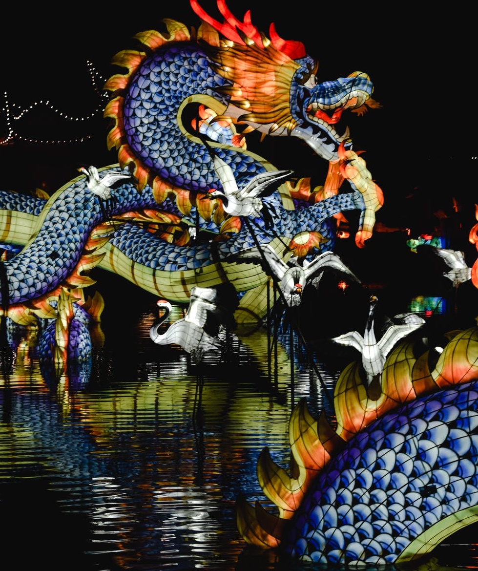 中國式雞娃-鋒巢網