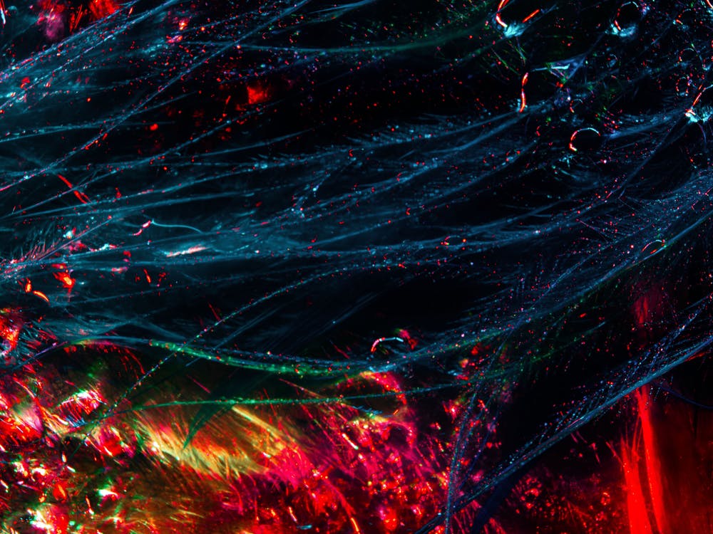 魔獸興衰，論壇浮沉-鋒巢網(wǎng)