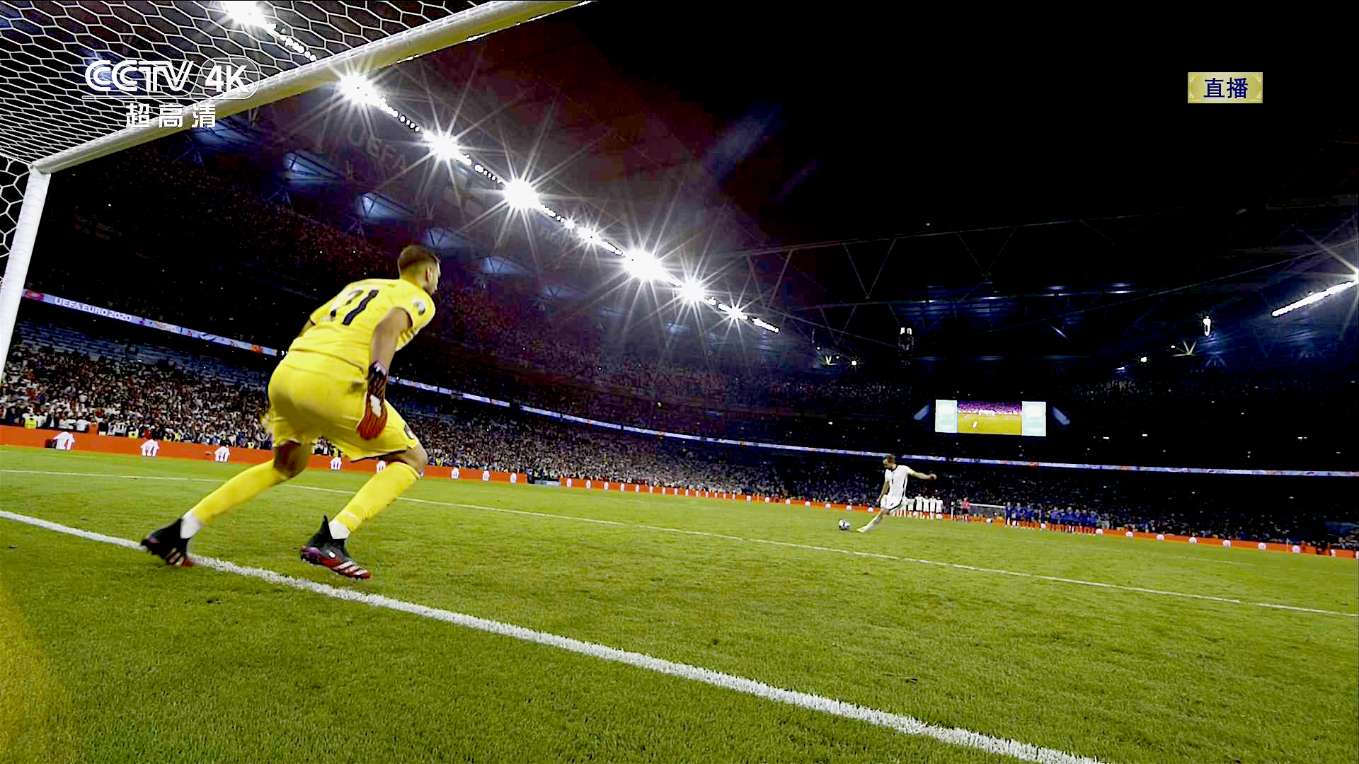 畫質獵殺：體驗TCL Mini LED智屏絢麗時刻-鋒巢網