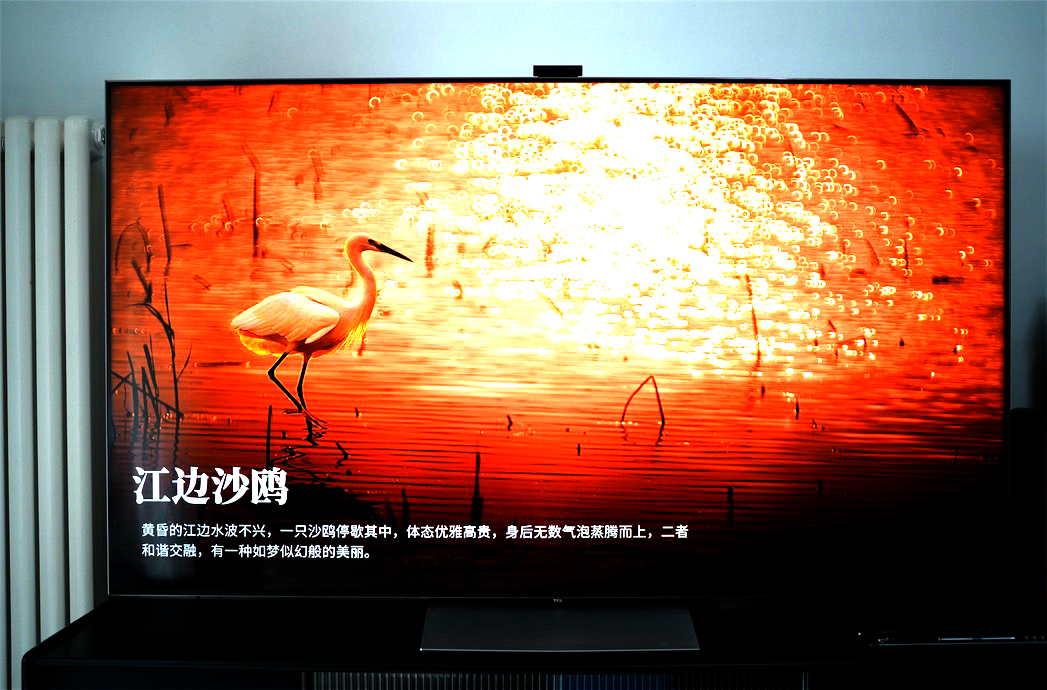 畫質獵殺：體驗TCL Mini LED智屏絢麗時刻-鋒巢網