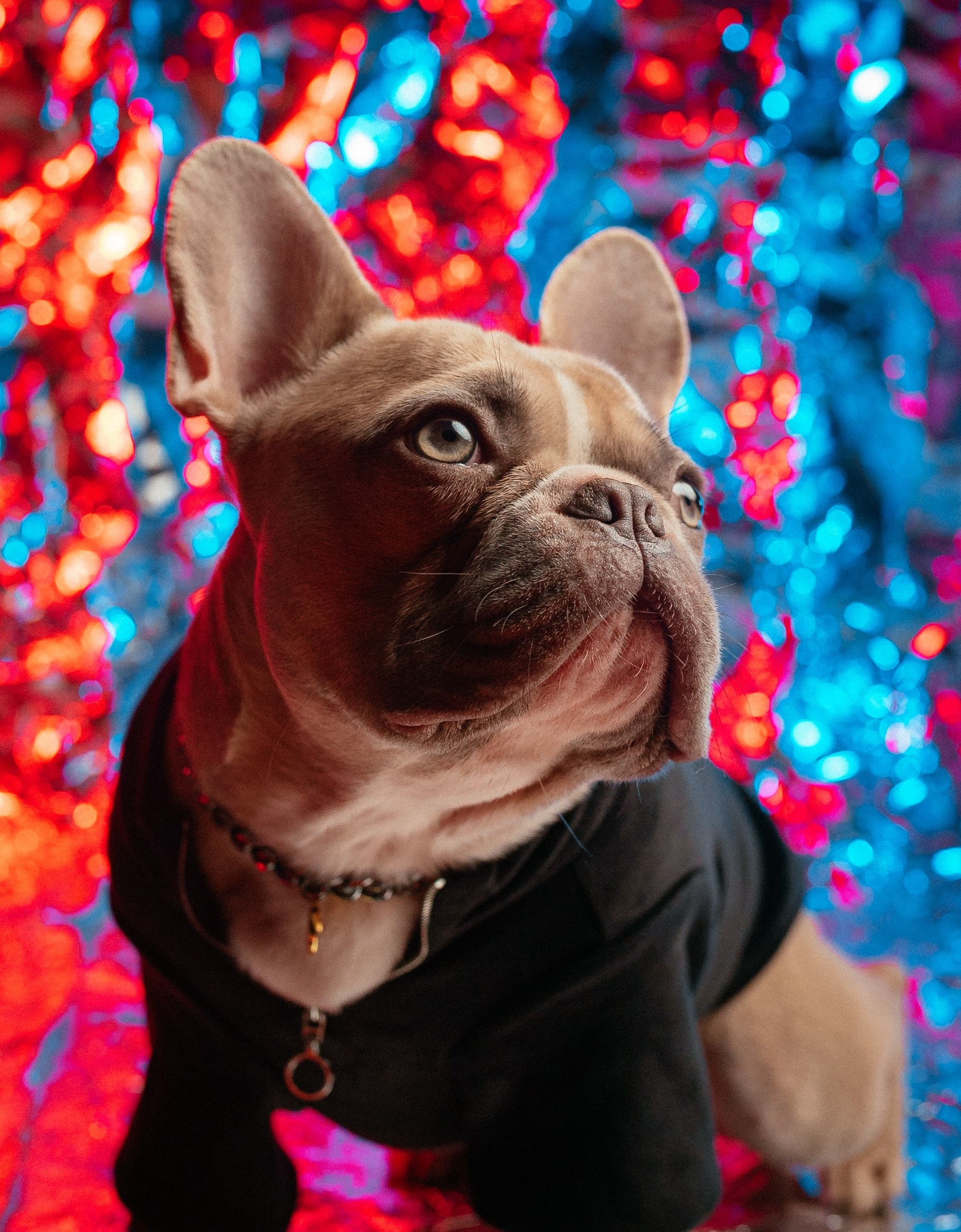 山寨AirPods有多“橫”?-鋒巢網(wǎng)