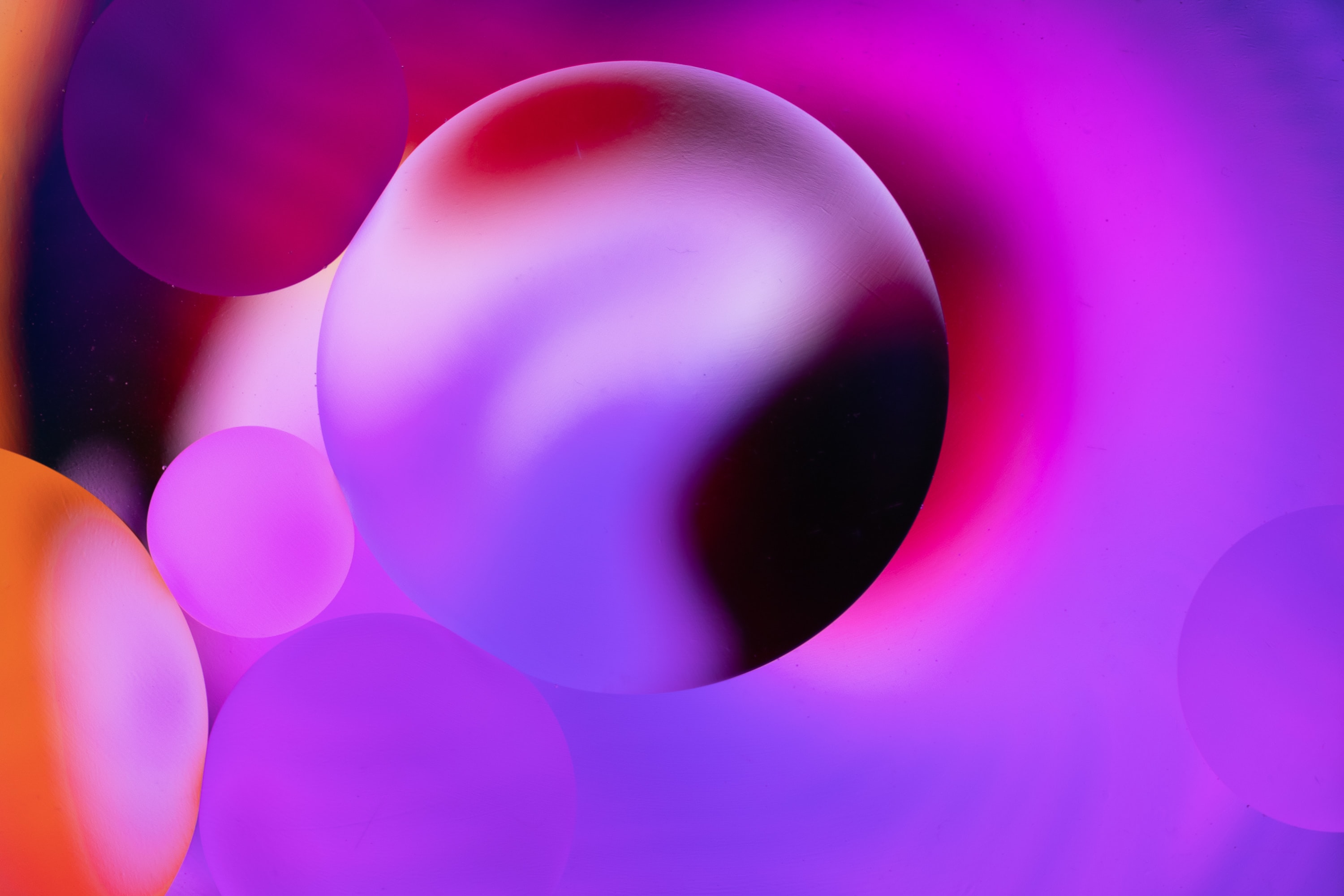 孟晚舟事件背后的華為-鋒巢網