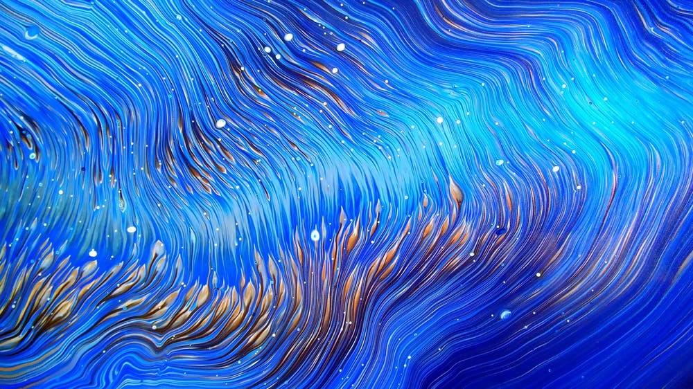 雷軍VS董明珠，“新10億賭約”誰會贏？-鋒巢網