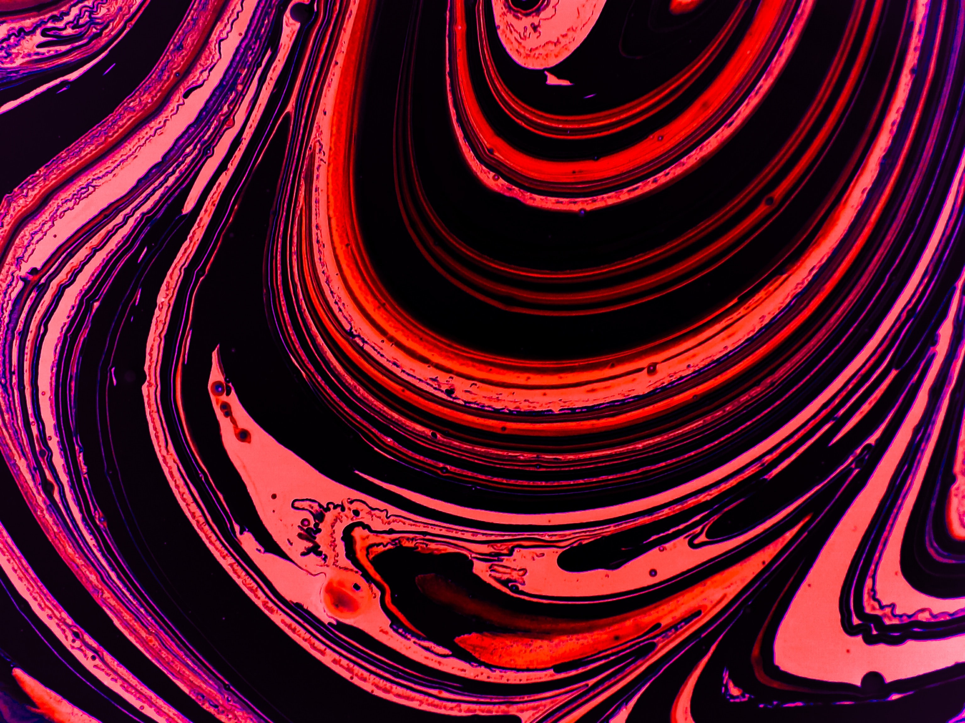 開電動車,活該多花錢?-鋒巢網