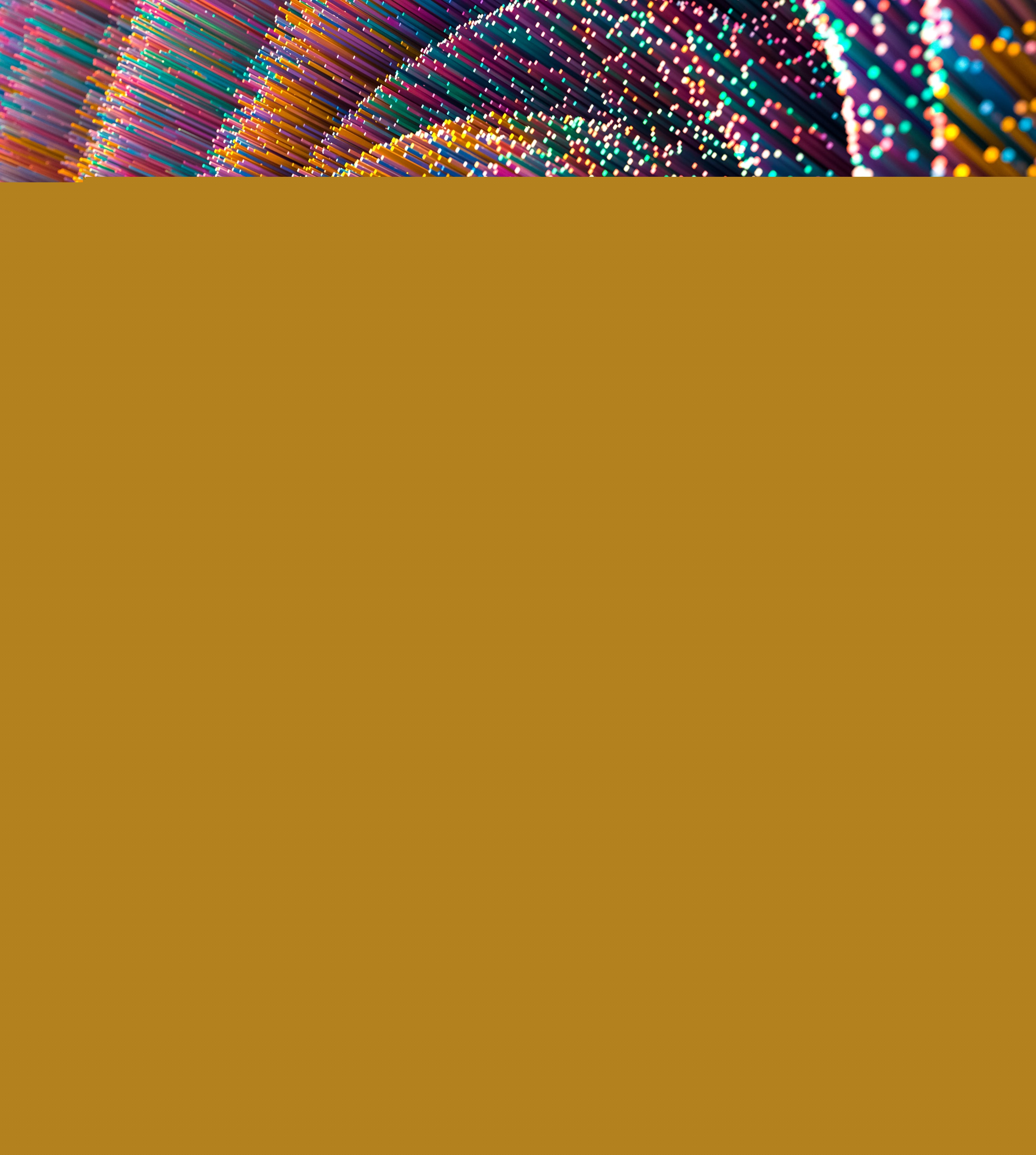 玩 VR 的人-鋒巢網